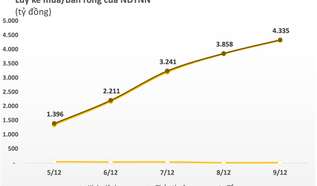 Khối ngoại tung thêm 4.300 tỷ đồng mua ròng trong tuần 5-9/12, cổ phiếu nào được gom mạnh nhất? - Ảnh 1.