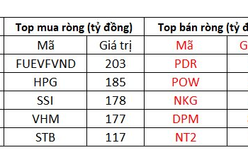 Khối ngoại tung tiền gom gần 1.400 tỷ, đánh dấu phiên thứ 6 liên tiếp mua ròng trên nghìn tỷ đồng - Ảnh 1.