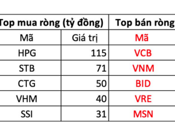 Khối ngoại vẫn tranh thủ gom gần 500 tỷ đồng trong phiên thị trường giằng co - Ảnh 1.