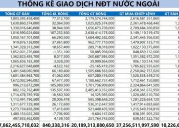 Không chỉ ETF, xuất hiện “dấu chân” một nhóm nhà đầu tư ngoại đang âm thầm đổ tiền vào chứng khoán Việt Nam - Ảnh 1.