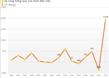 Kinh Bắc (KBC) muốn mua lại 100 triệu cổ phiếu giảm vốn điều lệ, hủy kế hoạch phát hành riêng lẻ 150 triệu cổ phiếu - Ảnh 1.