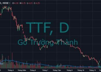Lần đầu muốn trực tiếp nắm giữ cổ phiếu Gỗ Trường Thành (TTF), Chủ tịch Mai Hữu Tín lại chỉ mua một nửa số lượng đăng ký - Ảnh 1.
