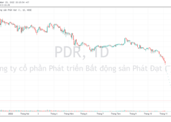 Lãnh đạo Phát Đạt (PDR) không mua hết lượng cổ phiếu đã đăng ký - Ảnh 1.