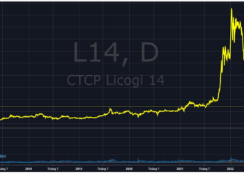 Lỗ 9 tháng vì đầu tư chứng khoán, Licogi 14 (L14) bất ngờ muốn điều chỉnh kế hoạch kinh doanh vào những ngày cuối năm - Ảnh 1.