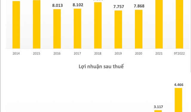 Lợi nhuận cao kỷ lục, Đạm Phú Mỹ (DPM) muốn nâng tỷ lệ cổ tức lên 70% - Ảnh 1.
