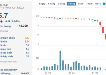 Mirae Asset muốn bán giải chấp 300.000 cổ phiếu Apax Holdings (IBC) nhưng không thể khớp lệnh - Ảnh 1.