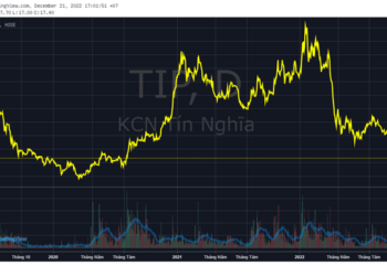 Một doanh nghiệp bất ngờ hạ tỷ lệ chi trả cổ tức ngay trước thời điểm chốt quyền do không đủ lợi nhuận - Ảnh 1.