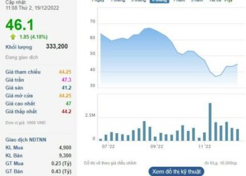 Một doanh nghiệp gỗ dự chi 300 tỷ đồng mua cổ phiếu quỹ - Ảnh 1.