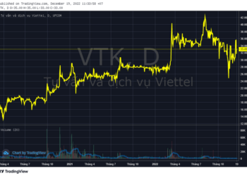 Một doanh nghiệp họ Viettel sắp phát hành cổ phiếu thưởng tỷ lệ gần 75% - Ảnh 1.