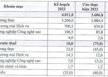 Một tháng sau khi nộp đơn từ chức, hai lãnh đạo Angimex (AGM) bất ngờ rút đơn ngay trước thềm ĐHĐCĐ bất thường - Ảnh 1.