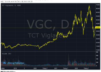 Nhà nước sẽ thoái vốn loạt doanh nghiệp trên sàn chứng khoán, bao gồm công ty mai táng, thị giá chỉ 300 đồng/cp - Ảnh 1.