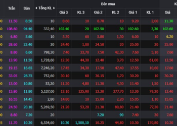 Nhiều cổ phiếu ngược dòng trong phiên thị trường giảm mạnh, duy nhất 1 đại diện rổ VN30 - Ảnh 1.