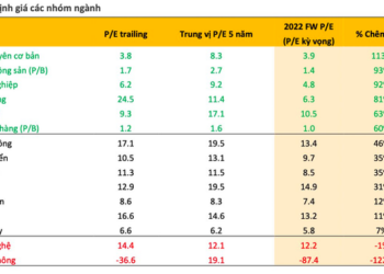 Nhóm cổ phiếu nào được dự báo sẽ hút tiền khi thị trường bật tăng trở lại? - Ảnh 1.