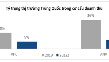 Nhóm cổ phiếu nào hưởng lợi khi Trung Quốc rục rịch tái mở cửa nền kinh tế? - Ảnh 1.