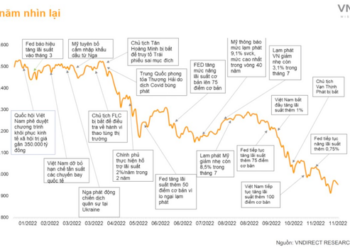 Những bài học quý báu rút ra sau một năm biến động mạnh của thị trường chứng khoán - Ảnh 1.