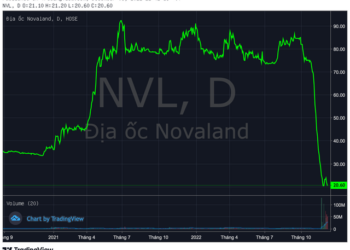 NovaGroup bị bán giải chấp 40 triệu cổ phiếu NVL ngay trong phiên thị giá tăng trần với thanh khoản thoả thuận kỷ lục - Ảnh 1.