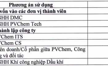 PVChem (PVC) chuẩn bị phát hành cổ phiếu tăng vốn gấp đôi lên 1.000 tỷ đồng - Ảnh 1.