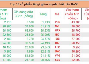 Top cổ phiếu tăng mạnh nhất tháng 11: Quán quân thuộc về một mã tăng 166%, hàng loạt cổ phiếu bất động sản bứt phá mạnh - Ảnh 1.