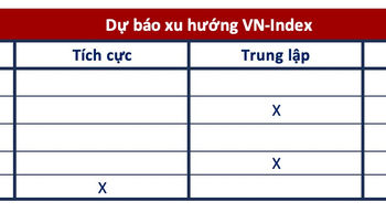 Góc nhìn CTCK: Rủi ro điều chỉnh gia tăng, nhà đầu tư hạn chế mua đuổi - Ảnh 1.
