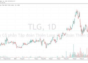 Tập đoàn Thiên Long (TLG) chốt danh sách trả cổ tức bằng tiền, tỷ lệ 15% - Ảnh 1.