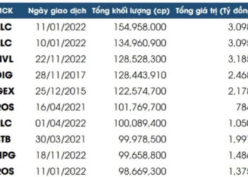 Nhìn lại chứng khoán năm 2022: Thăng trầm với nhiều kỷ lục - Ảnh 1.