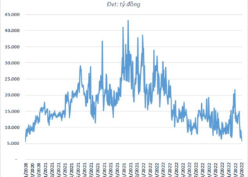 Thanh khoản HoSE xuống thấp nhất trong hơn 25 tháng, dòng tiền chứng khoán nghỉ Tết sớm? - Ảnh 1.