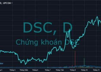 Thị giá giảm một nửa sau chưa đầy một tháng, Chứng khoán DSC (DSC) muốn phát hành 100 triệu cổ phiếu tăng vốn gấp đôi - Ảnh 1.