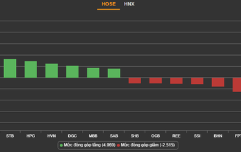 Thị trường phân hoá, VN-Index vẫn giữ đà tăng nhẹ - Ảnh 1.