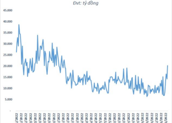 Tiền vào thị trường cao nhất trong hơn 7 tháng, chứng khoán Việt Nam đứt chuỗi 5 phiên tăng liên tiếp - Ảnh 1.