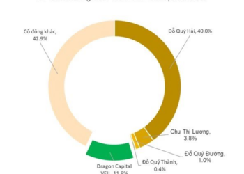 Tiếp tục bị giải chấp mạnh, gia đình Chủ tịch Hải Phát Invest (HPX) đã mất gần 19% vốn cổ phần của công ty trong vòng 5 ngày - Ảnh 1.
