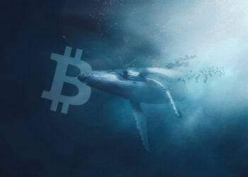 Tốc độ bán tháo Bitcoin của "cá voi" trong tháng 11/2022 lập kỷ lục mới