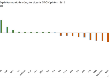 Tự doanh CTCK bán ròng gần 400 tỷ đồng trên HoSE phiên 19/12 - Ảnh 1.