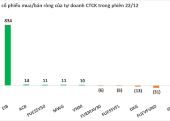 Phiên 22/12: Tự doanh CTCK mua ròng gần 800 tỷ đồng toàn thị trường, đột biến trên một cổ phiếu ngân hàng - Ảnh 1.
