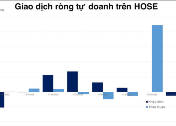 Tự doanh bán ròng sau chuỗi 6 phiên giải ngân trên HOSE - Ảnh 1.