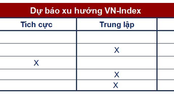 Góc nhìn CTCK: VN-Index chỉ xác nhận xu hướng tăng khi vượt 1.030 điểm - Ảnh 1.