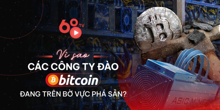 Vì sao các công ty đào Bitcoin đang trên bờ vực phá sản?