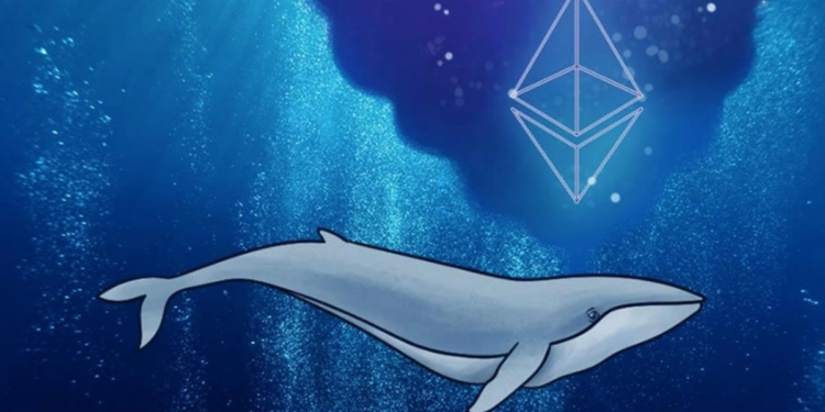 “Ông lớn” bất ngờ dịch chuyển 22.982 ETH