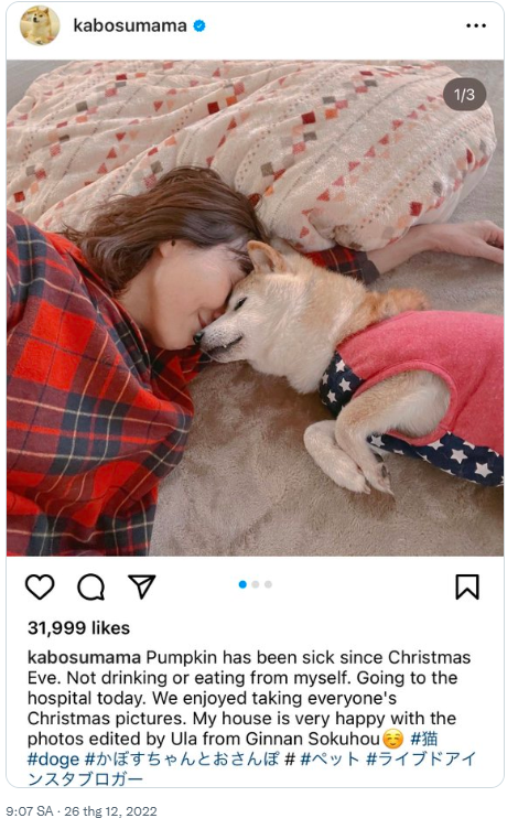 Twitter nổi sóng vì cô chó memecoin tỷ USD bất ổn trong đêm Giáng sinh