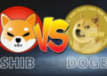 “Chiến binh” Dogecoin đã vượt qua mùa đông tiền điện tử thế nào