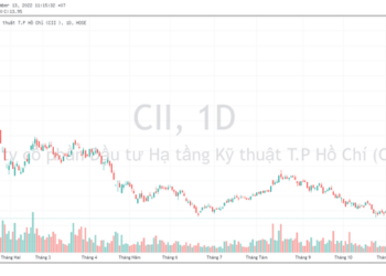Vợ Tổng Giám đốc Đầu tư Hạ tầng Kỹ thuật TP.HCM (CII) liên tục gia tăng sở hữu cổ phiếu - Ảnh 1.