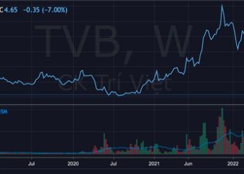 Vừa từ chức được vài ngày, Cựu Chủ tịch HĐQT Chứng khoán Trí Việt (TVB) Bùi Minh Tuấn bất ngờ xin rút đơn từ nhiệm - Ảnh 1.