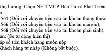 Yuanta Việt Nam ra mắt tài khoản định danh, thuận lợi chuyển tiền - Ảnh 1.