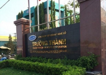 Một nữ đại gia trở thành cổ đông lớn của Gỗ Trường Thành