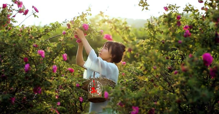 Lý Tử Thất đạt thỏa thuận hòa giải với Vô Niệm Hàng Châu