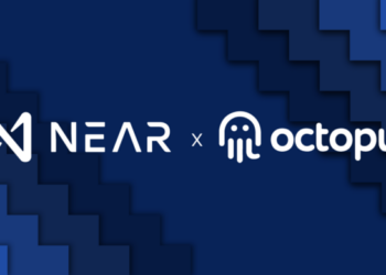 40% nhân sự nòng cốt của Octopus Network hệ Near bị sa thải