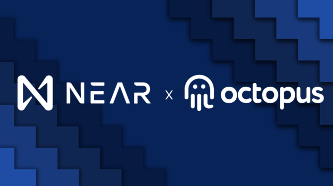 40% nhân sự nòng cốt của Octopus Network hệ Near bị sa thải