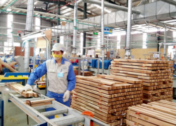 Bình Dương: Một doanh nghiệp gỗ thưởng Tết gần 900 triệu