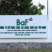 Công ty của ông Trương Sỹ Bá đăng ký mua gần 5 triệu cổ phiếu BAF