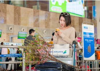 Vietjet vận chuyển mai, đào giá 450 nghìn/bó