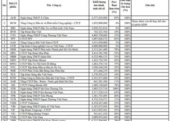 BCM chính thức lọt rổ VN30 thay thế KDH trong kỳ review tháng 1 - Ảnh 1.